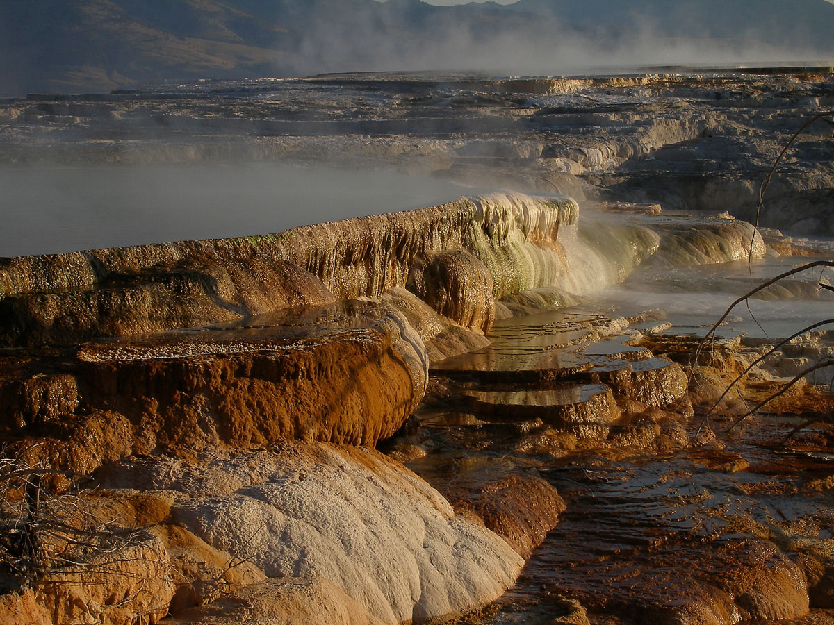 Yellowstone