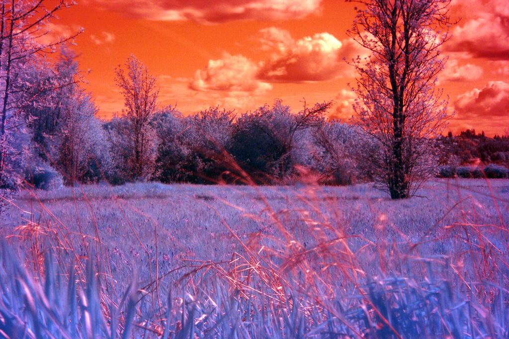 IR Shot A
