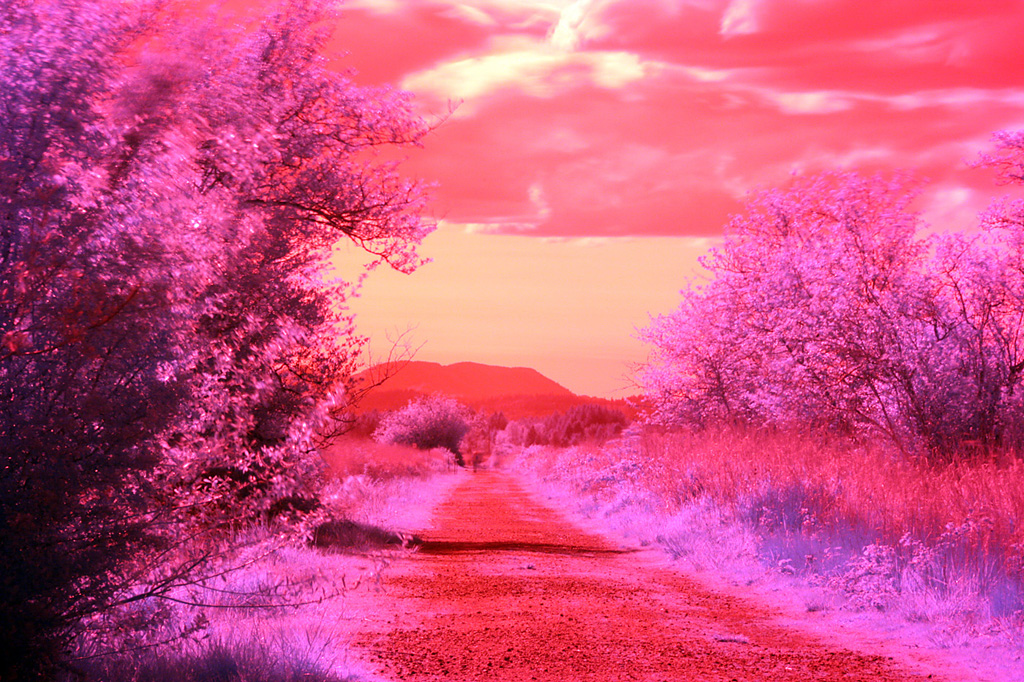 IR Shot B