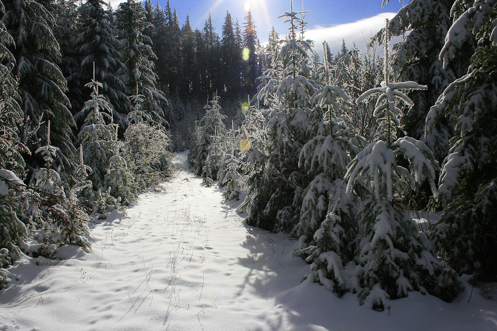 A nice hike