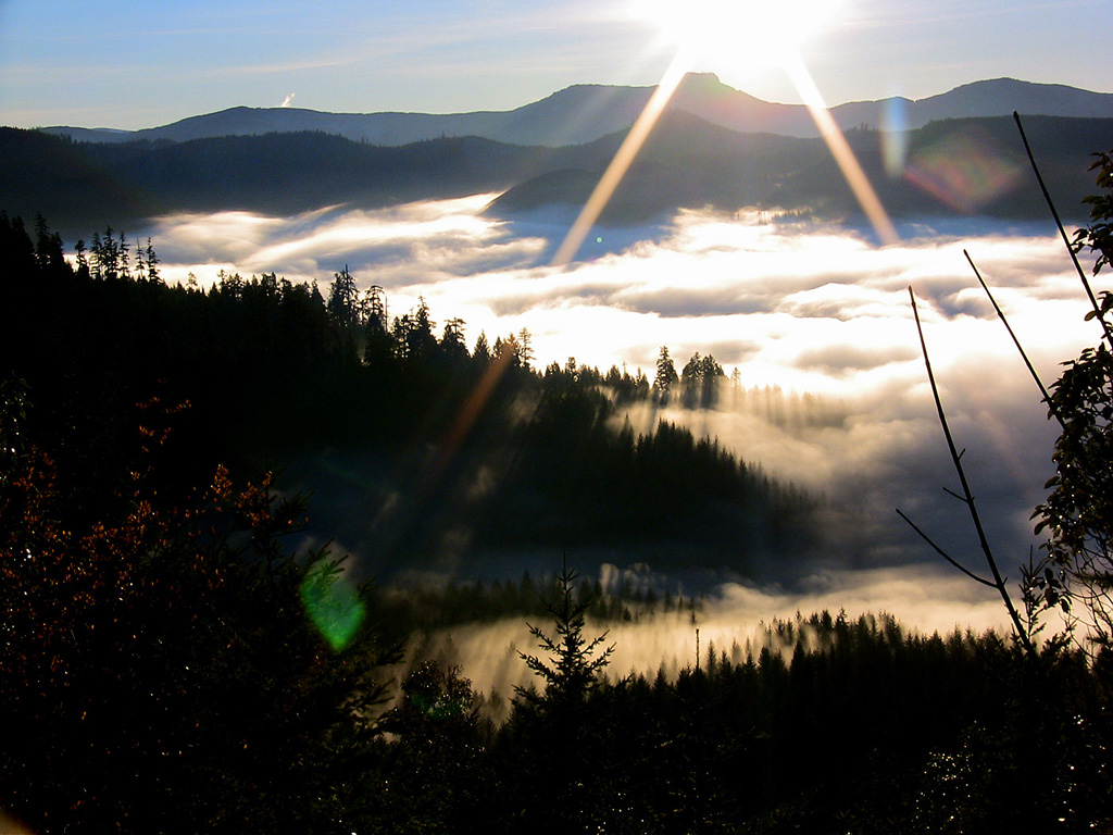 Cold Fog From Above