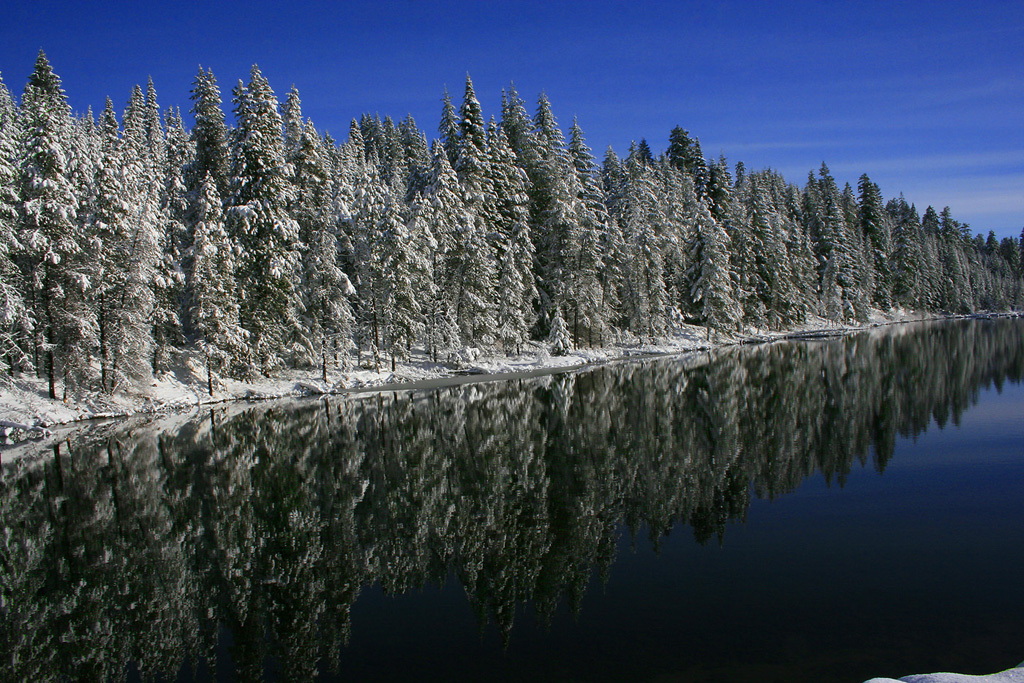 Reflections