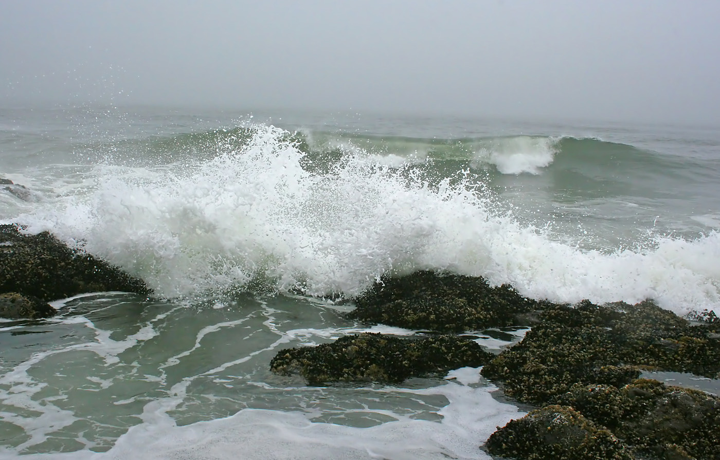 Splash