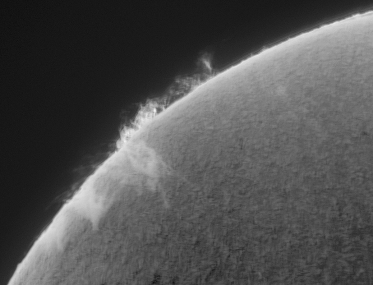 Filament on the Limb