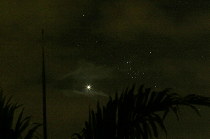 Venus and the Pleiades