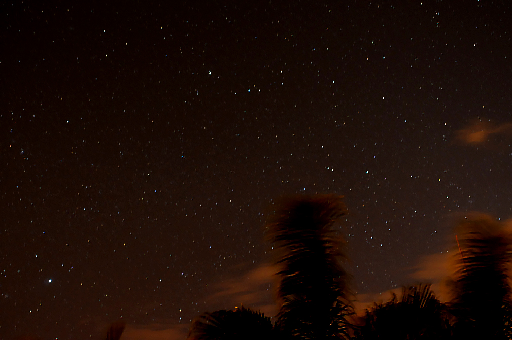 stars at sunset