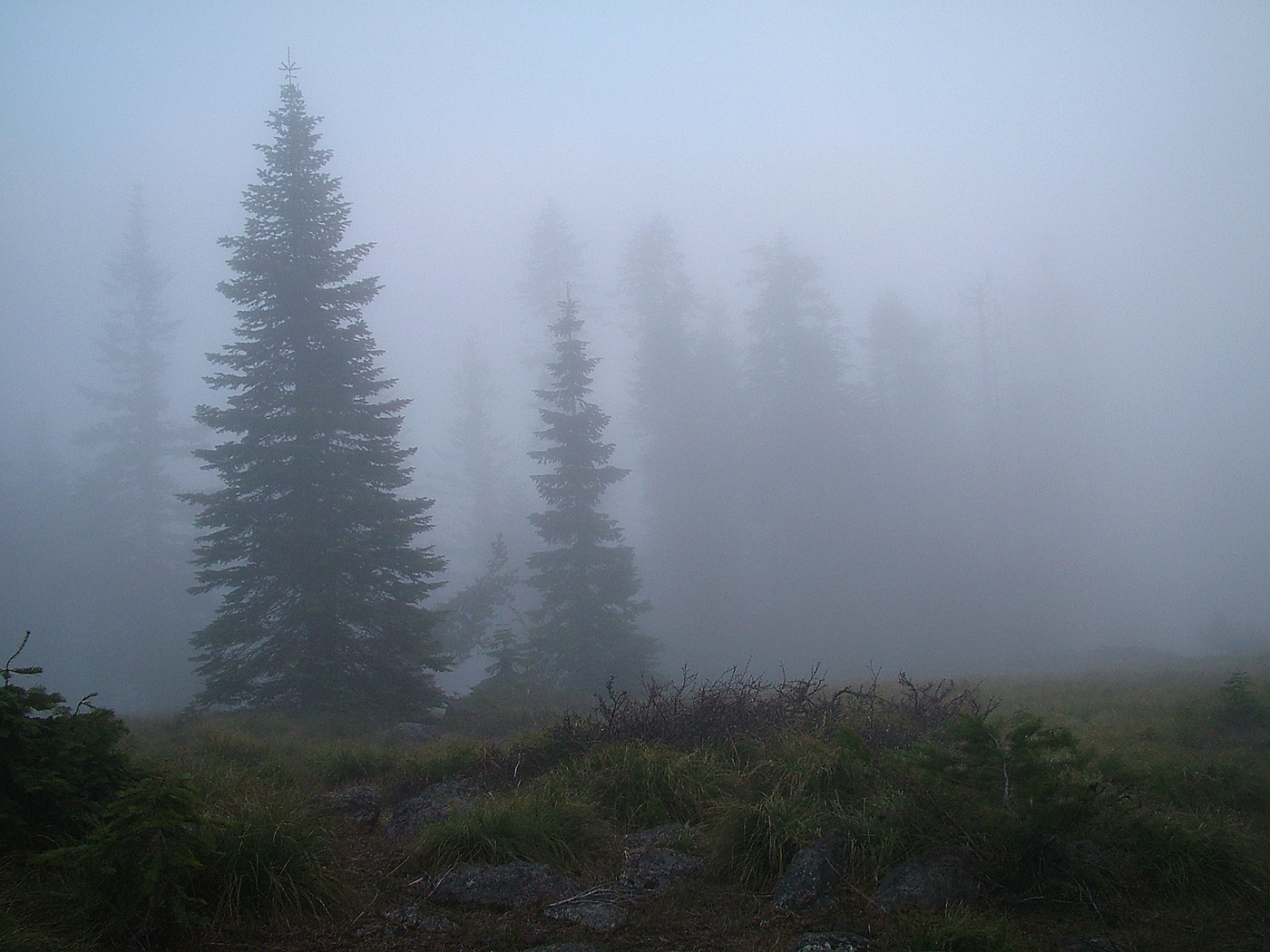 view from a mountain top