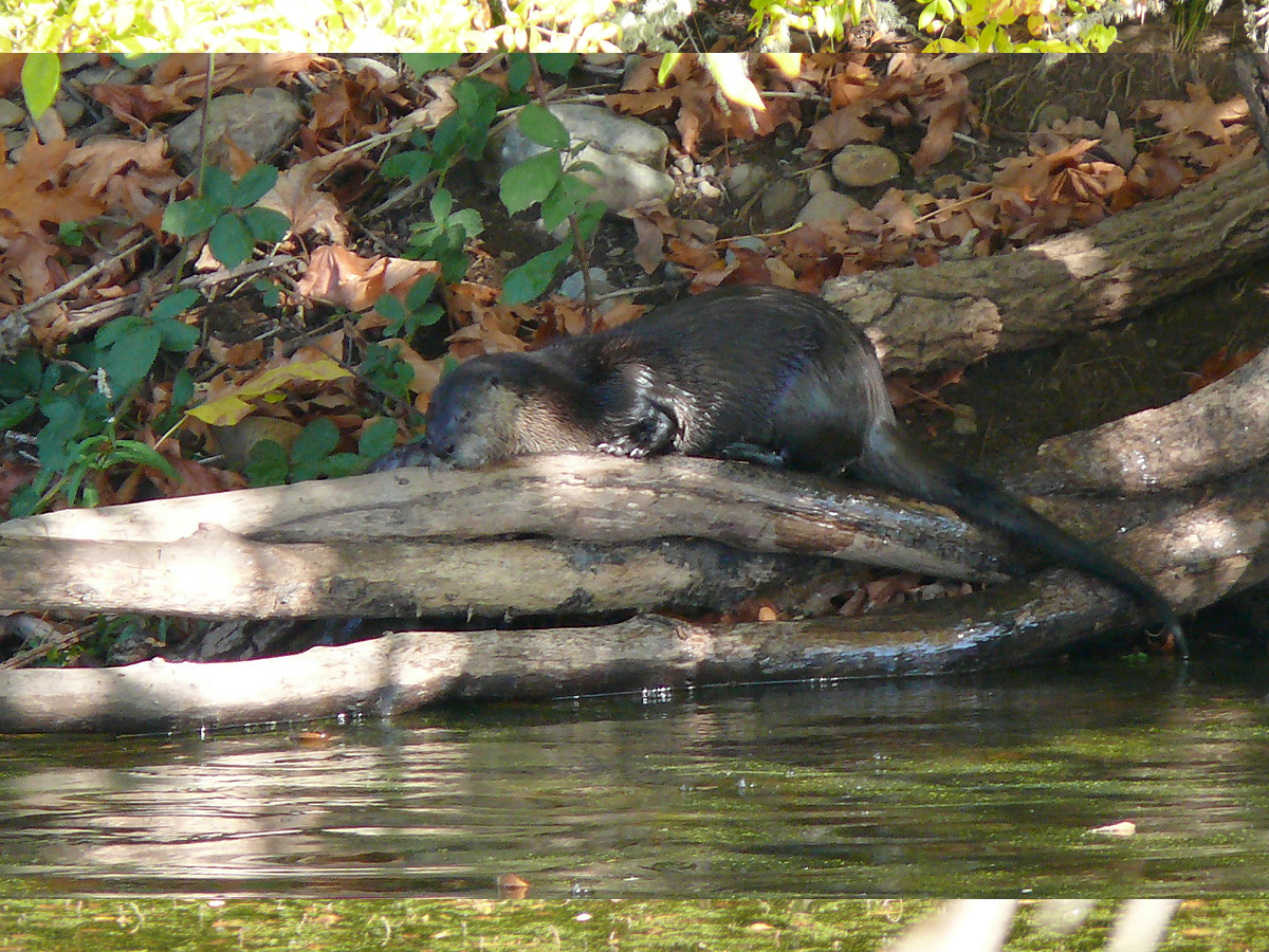 nap time