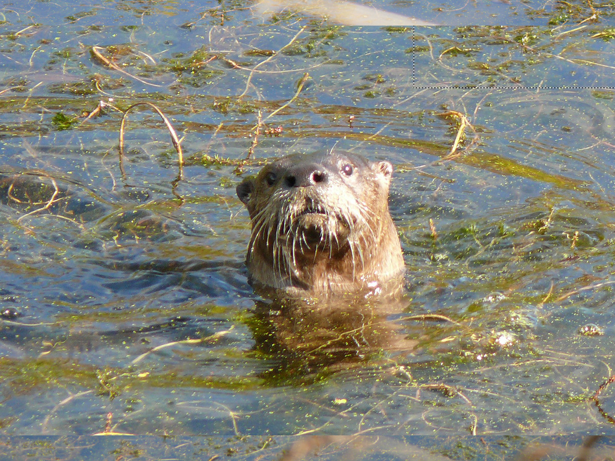 hi there