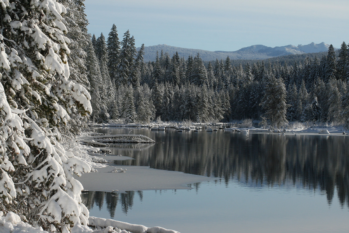 stump lake in winter