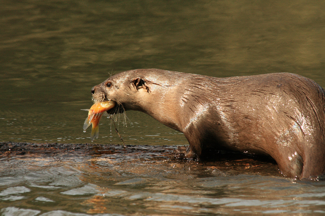 its lunch time