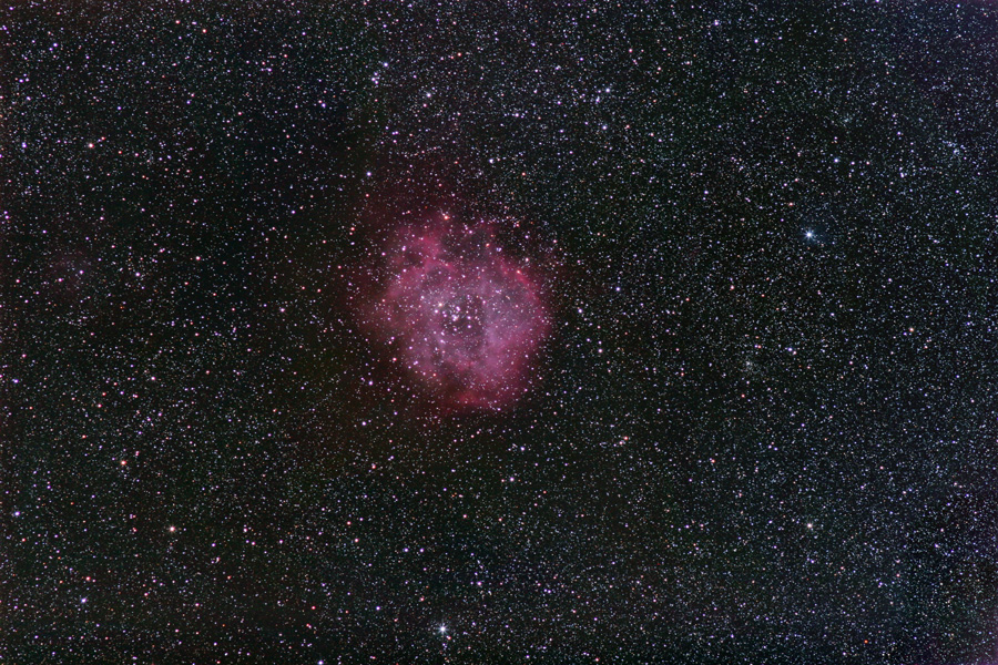 Rosette