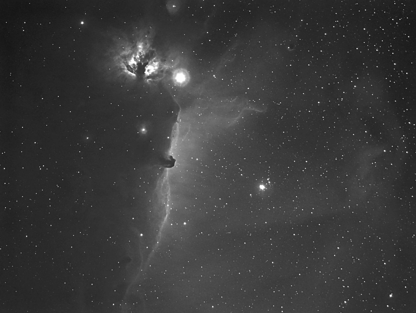 Horsehead and Flame Nebulae