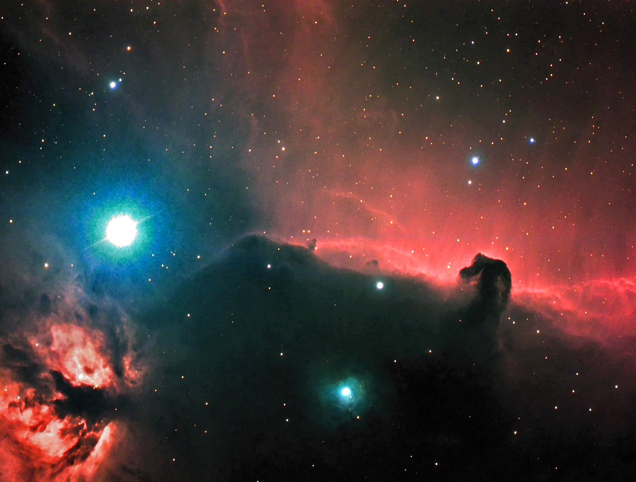 Horsehead and Flame Nebulae