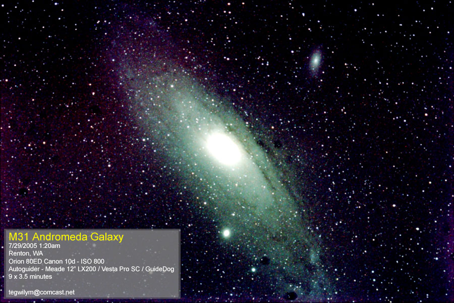 M31