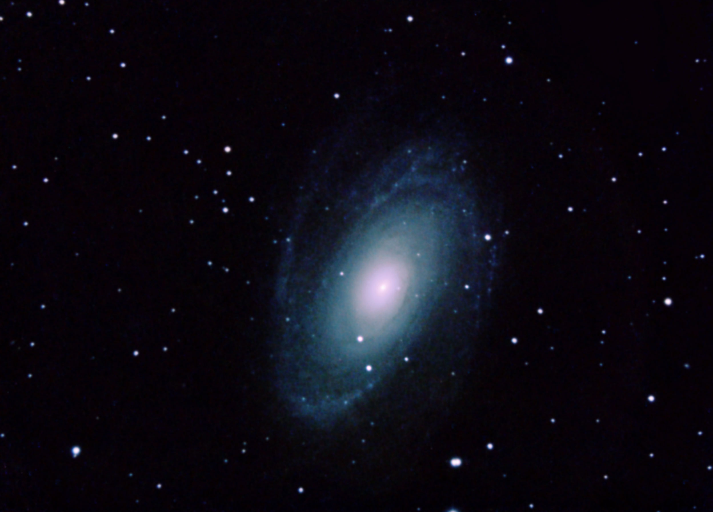 M81