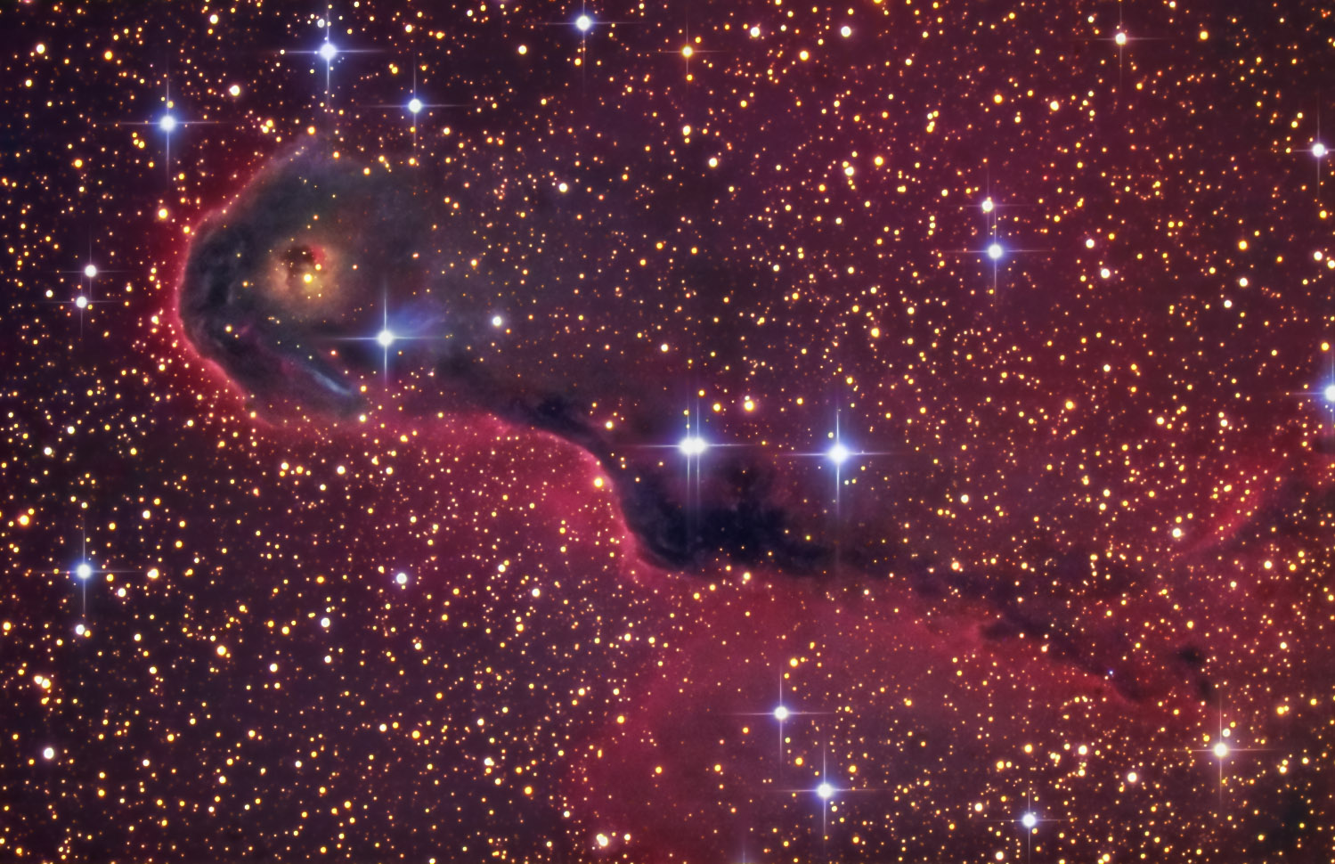 VDB142 in Cepheus