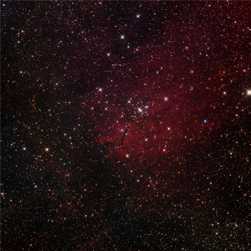 NGC 6820 & NGC 6823 in Vulpecola