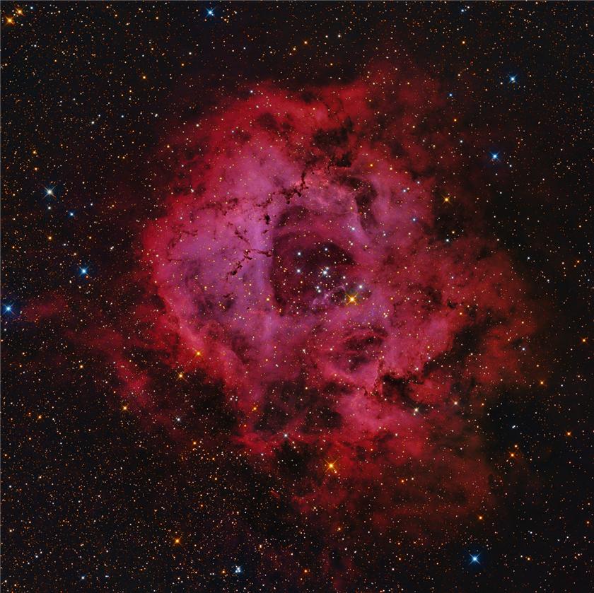 The Rosette Nebula