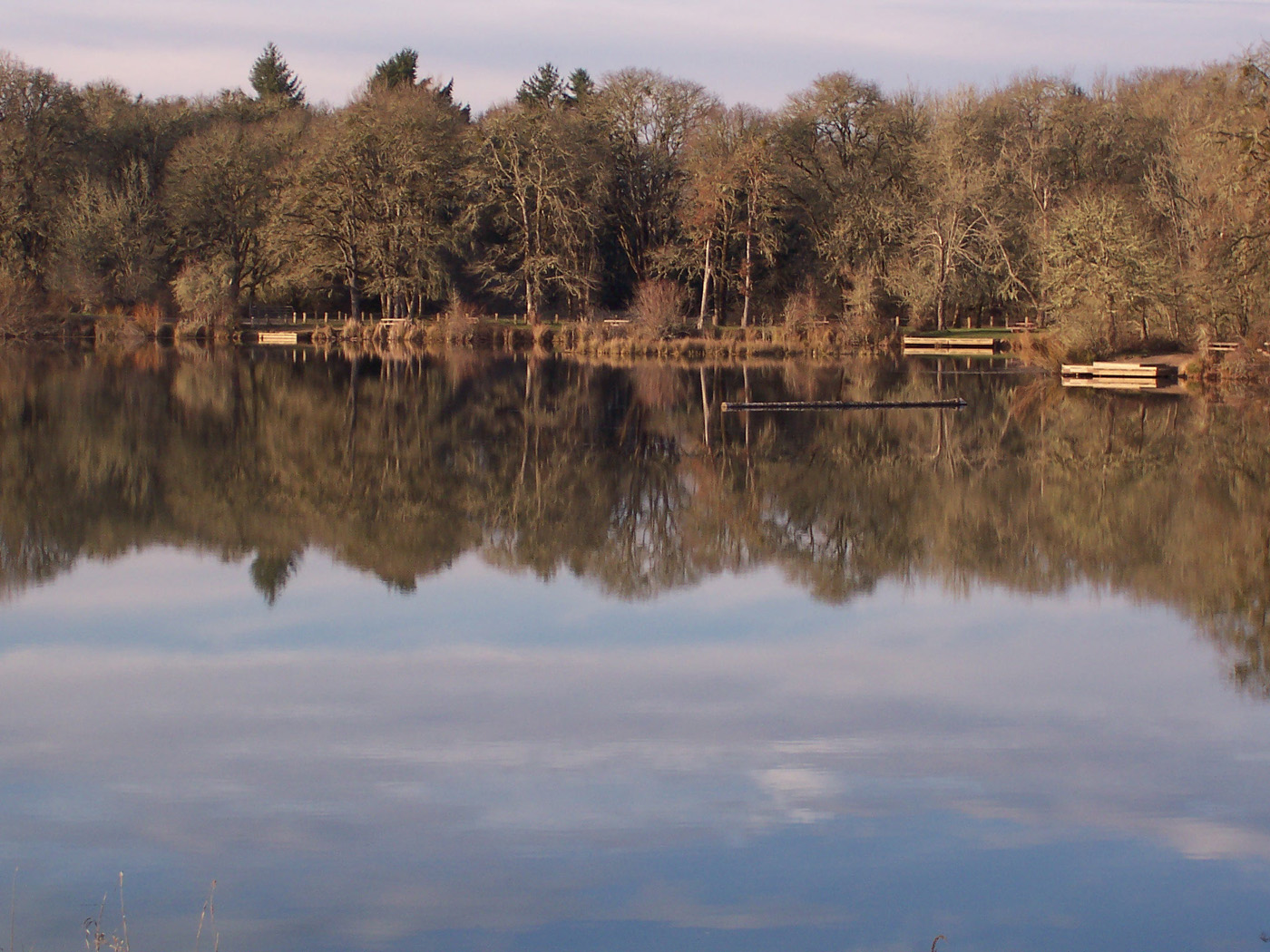 Reflections