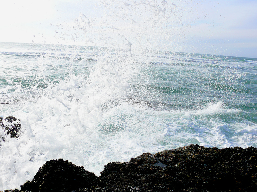 Ocean Spray