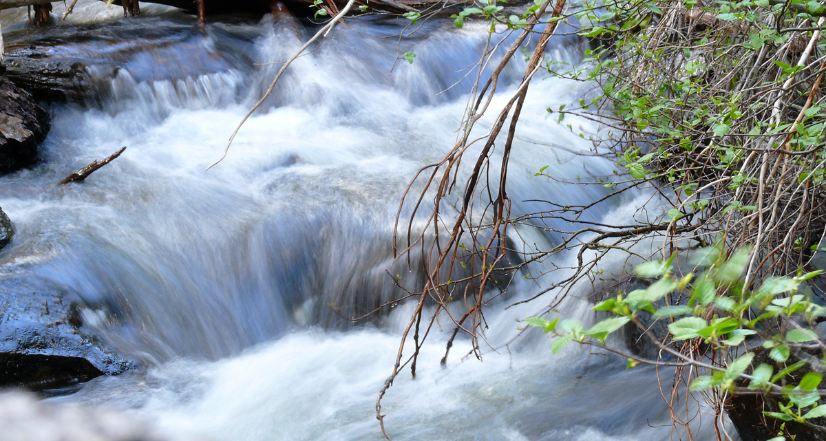 Lil Stream