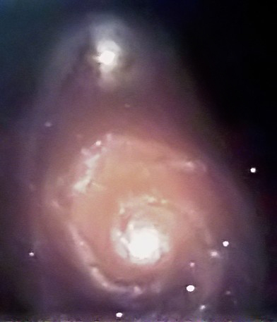 M51