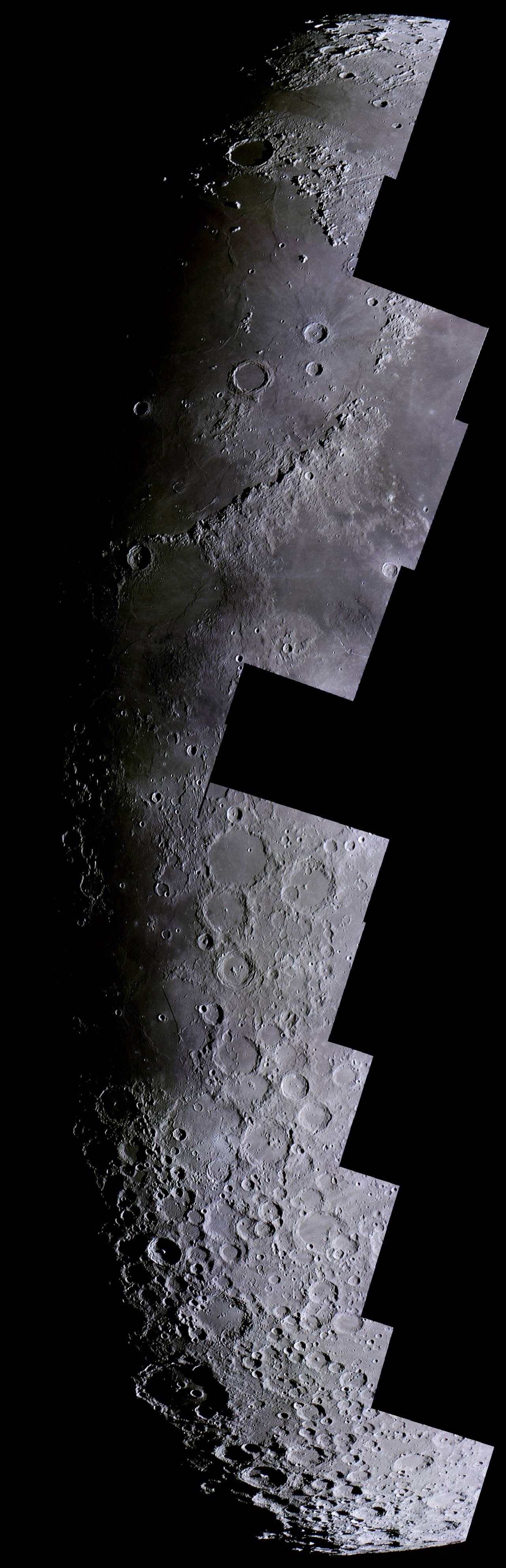 Terminator 03 08 06