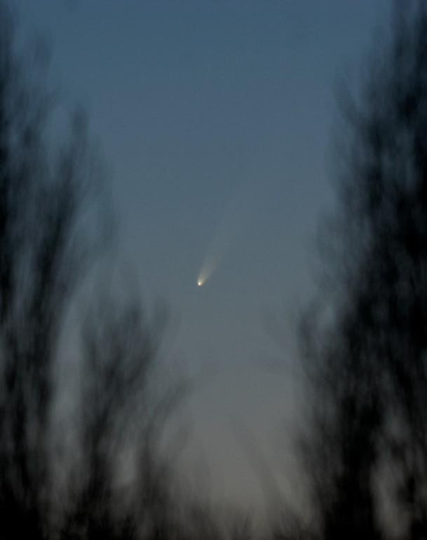 McNaught (C/2006 P1)