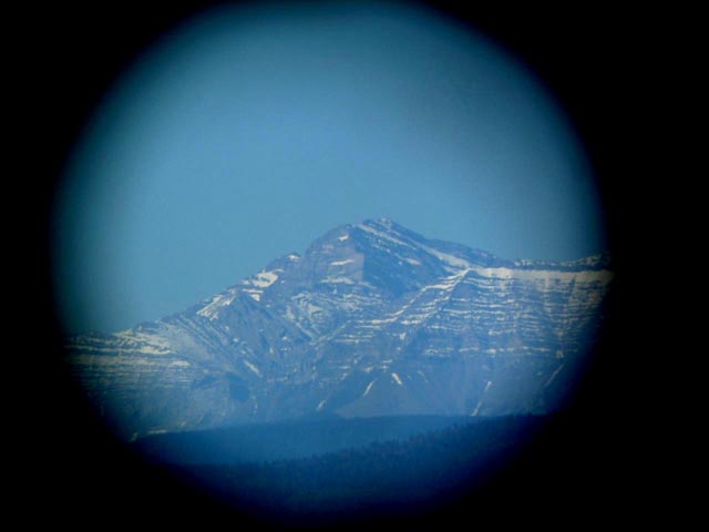 Alberta Vignette