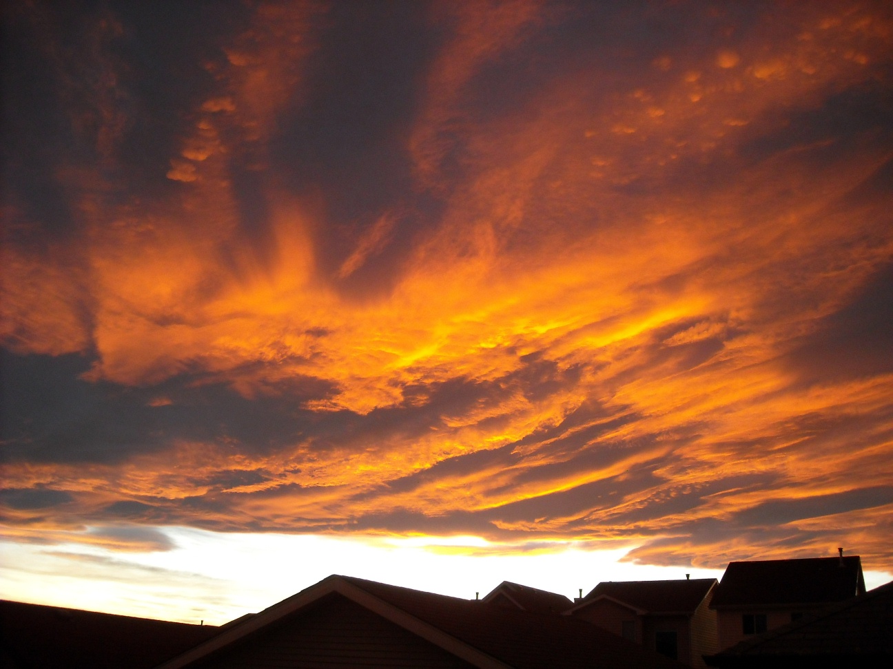 Oct. 28 Chinook Arch