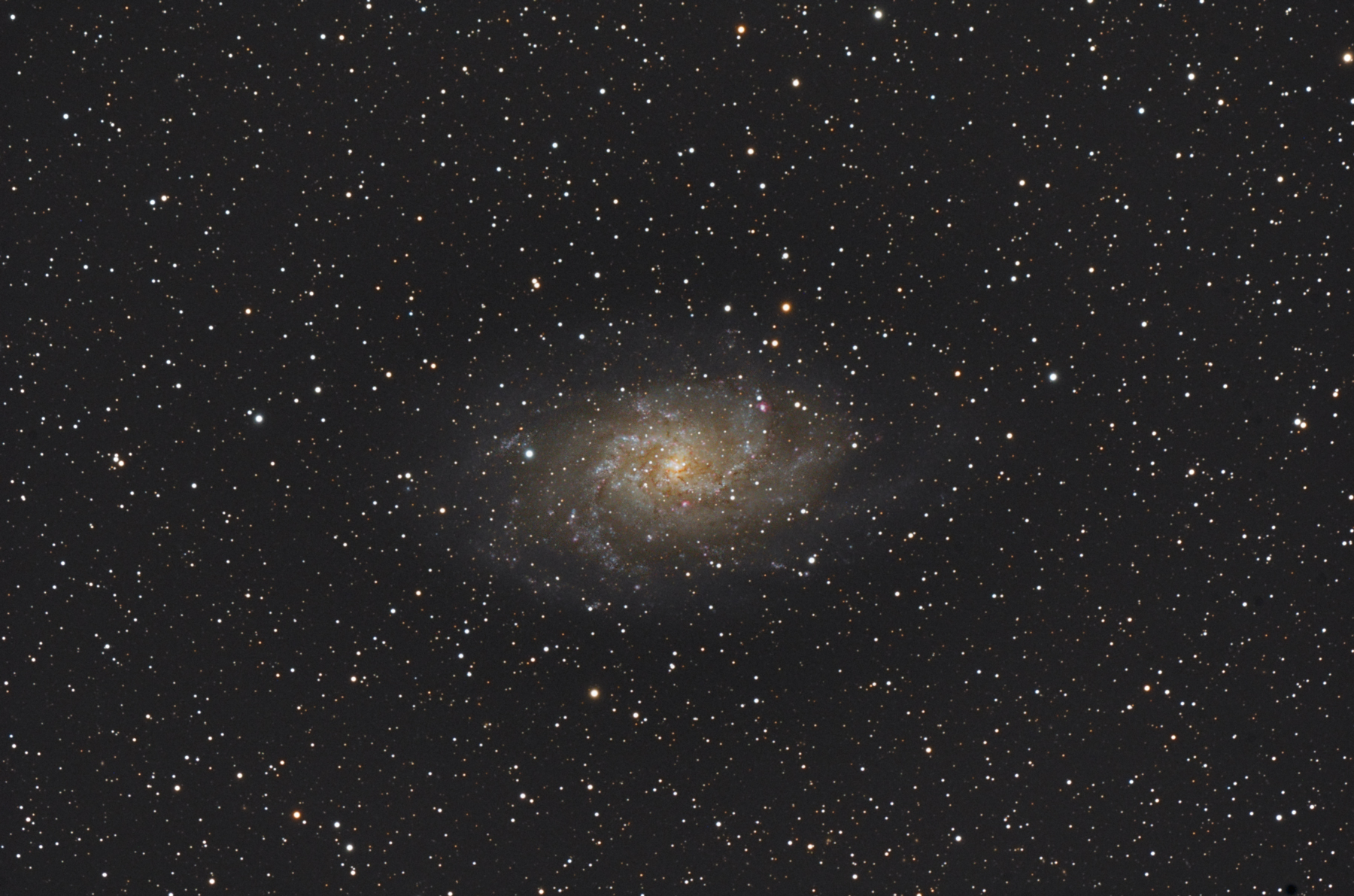 M33