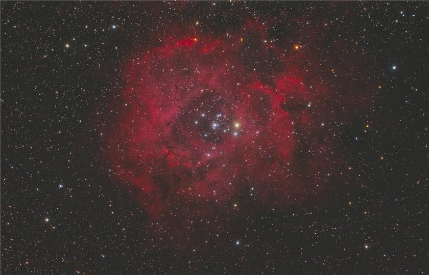 Rosette