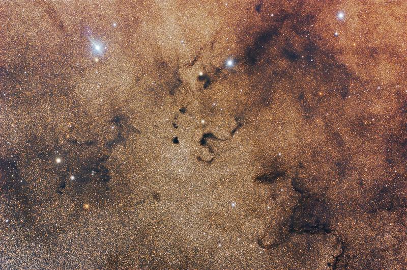 Barnards in Ophiuchus