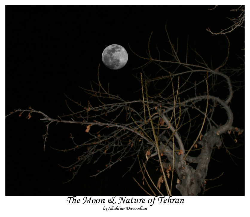 The moon in Iran Natures
