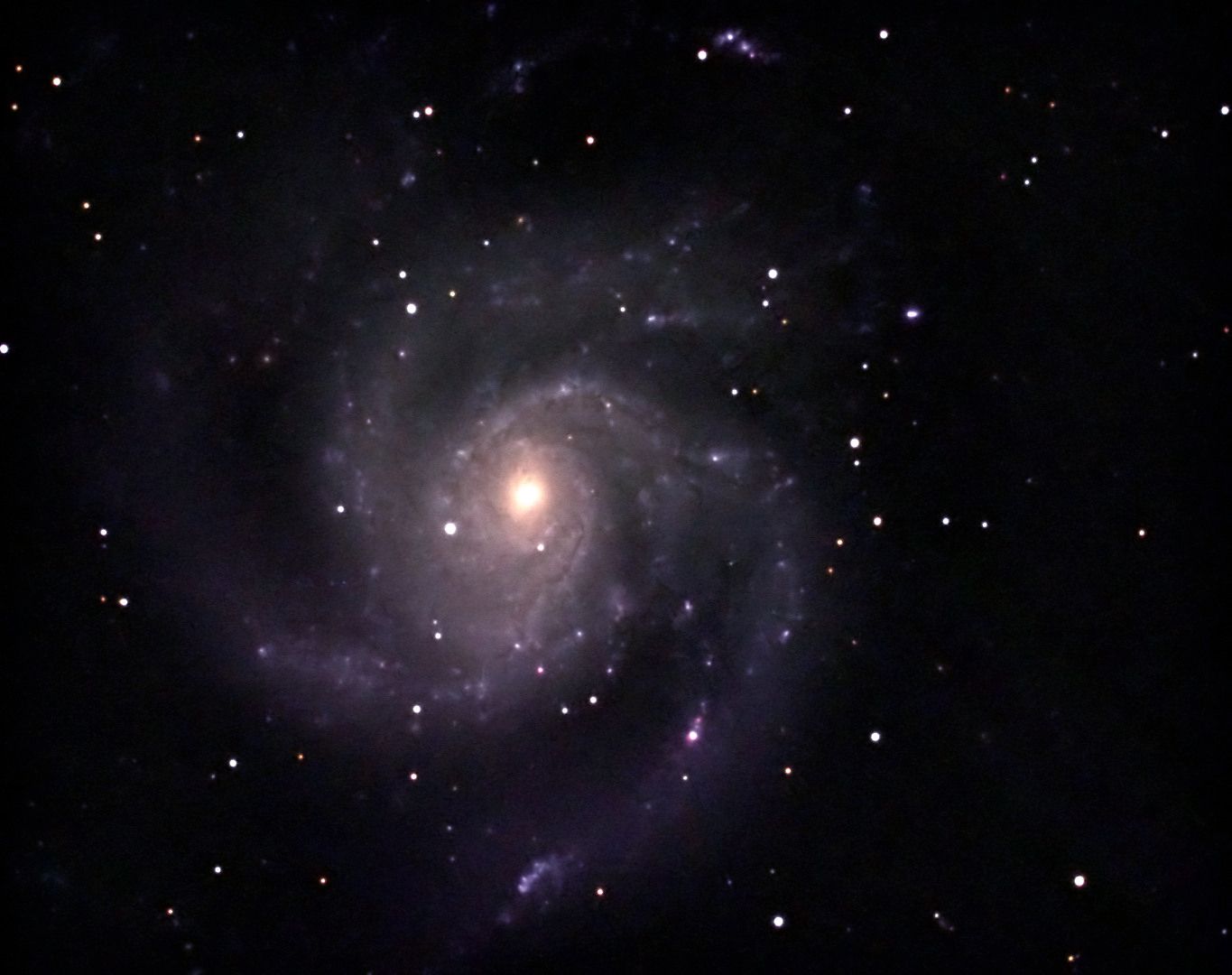 M101