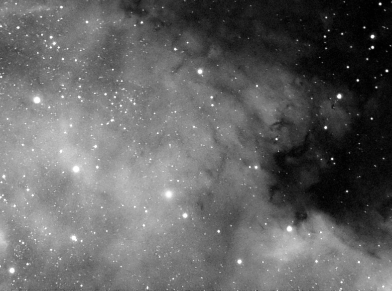 NGC 7000 Portion