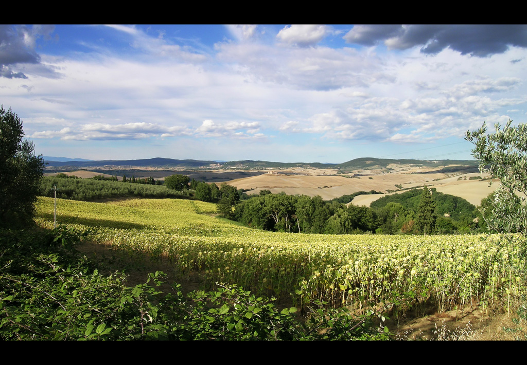 Tuscany view 2