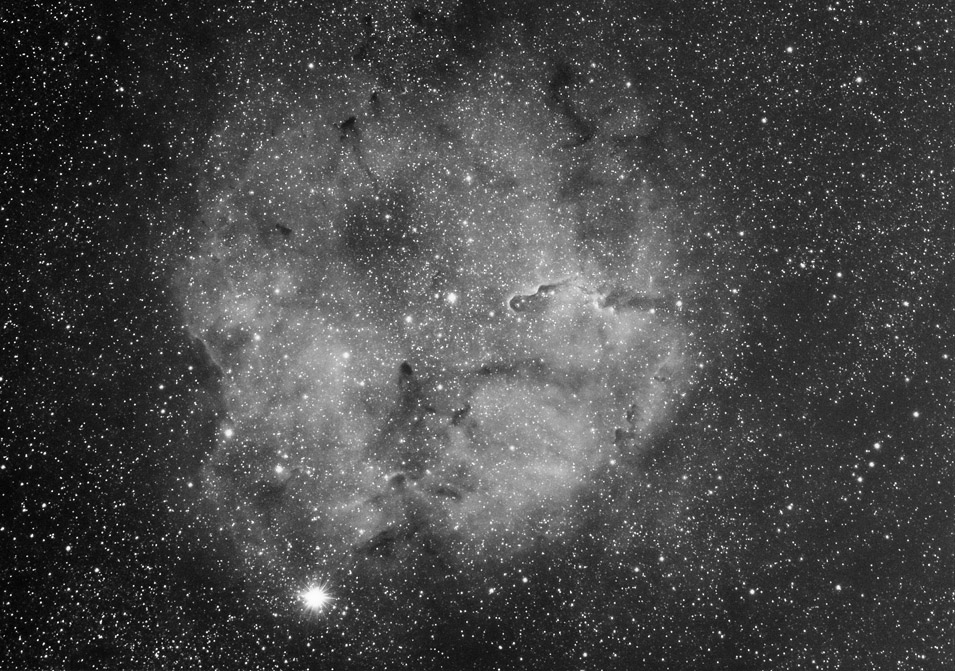IC1396 WideField
