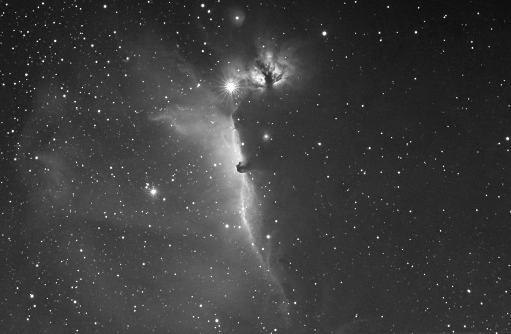 HorseHead from Rome