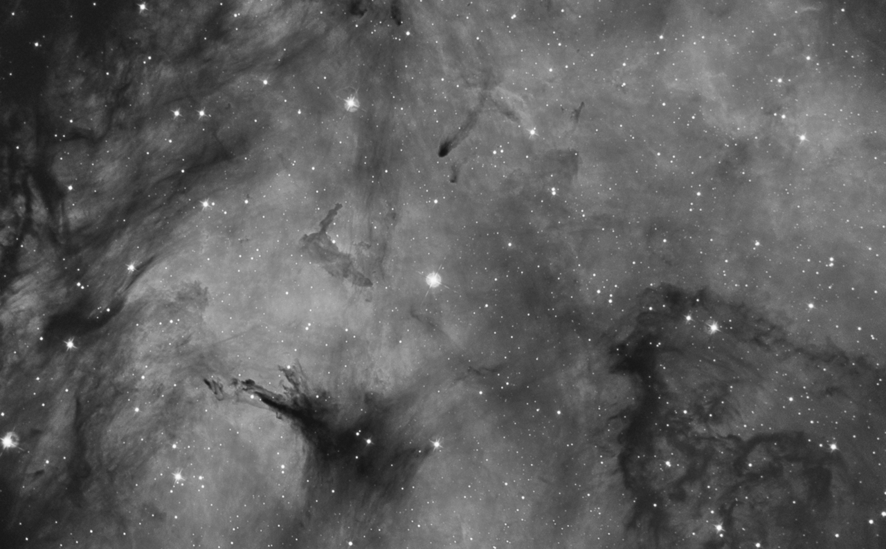 A chaotic piece of Butterfly [IC 1318]