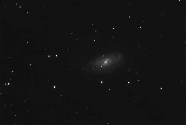 NGC3953 image