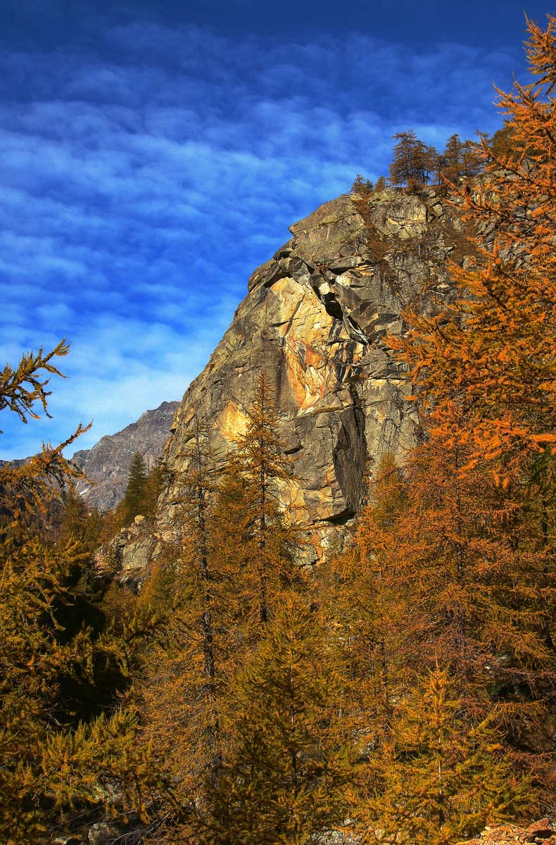 Fall Colours