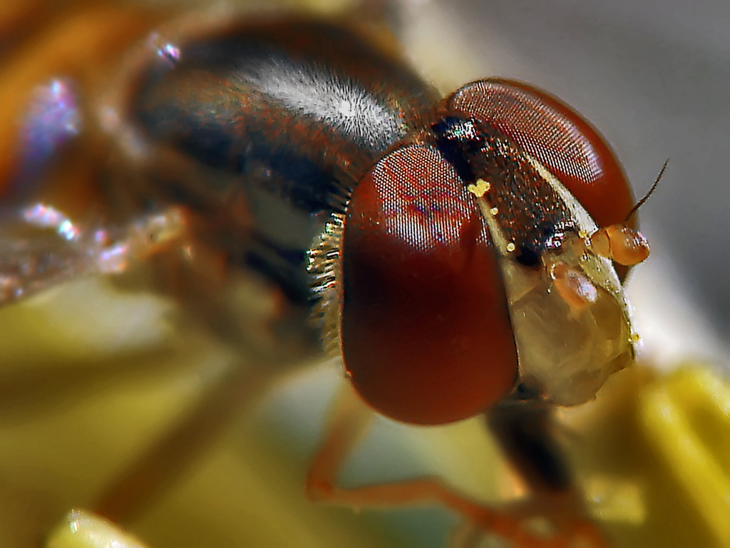Super Macro Test
