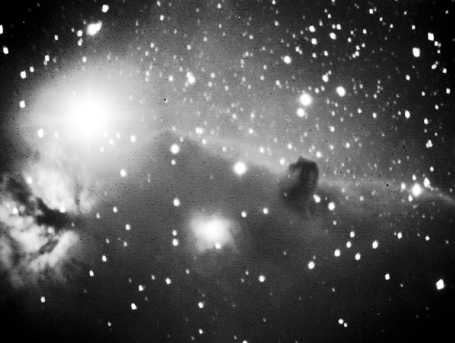 Horsehead