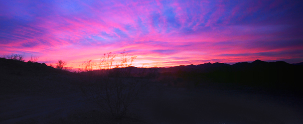 Desert sunset