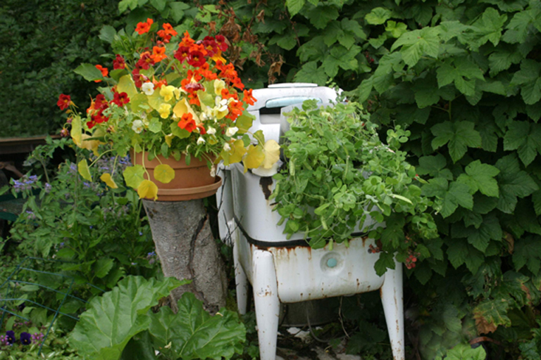Washer Planter