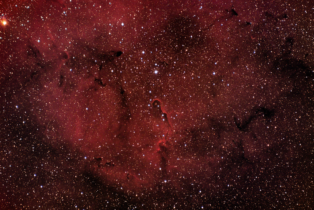 IC 1396 and Vb 142