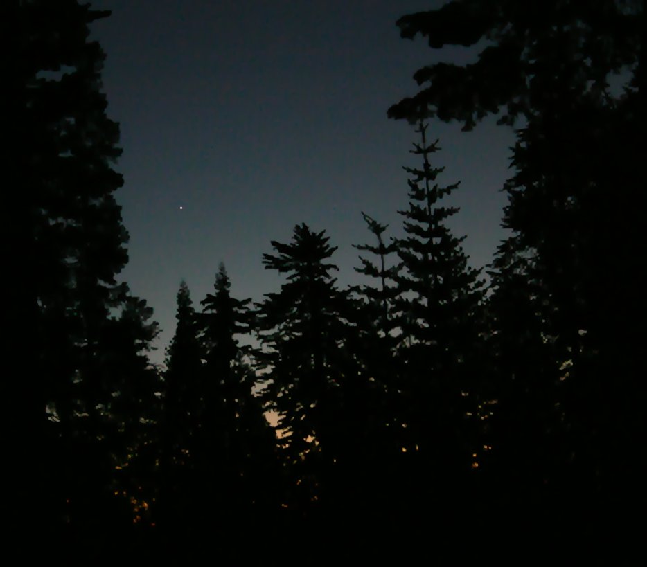 Venus at Sequoia National Park