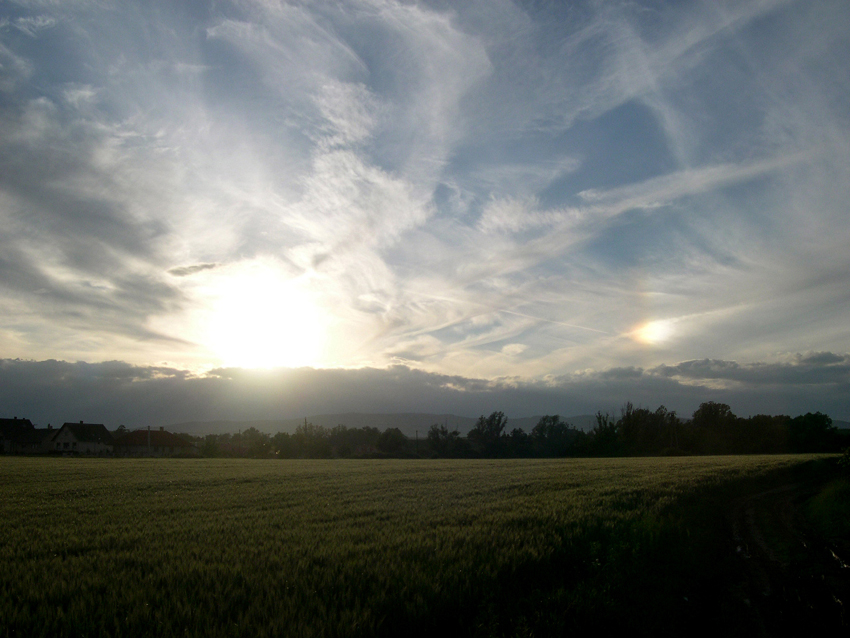 sundog